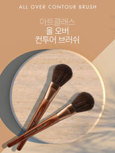 Load image into Gallery viewer, [TOO COOL FOR SCHOOL] Artclass By Rodin Shading + All Over Contour Brush Set
